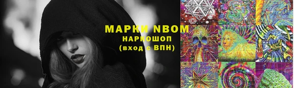 стафф Арсеньев