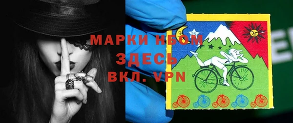 стафф Арсеньев