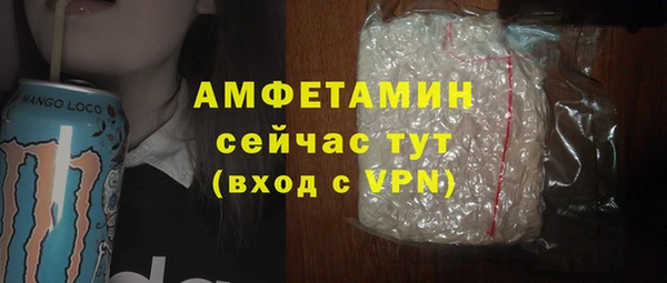 стафф Арсеньев
