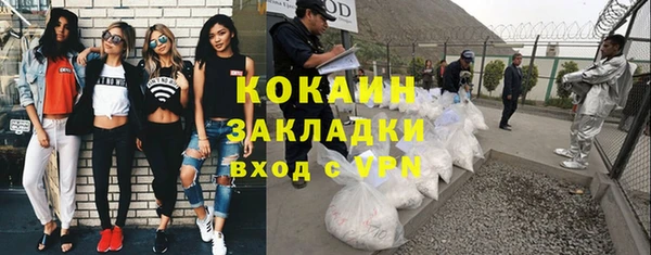 стафф Арсеньев