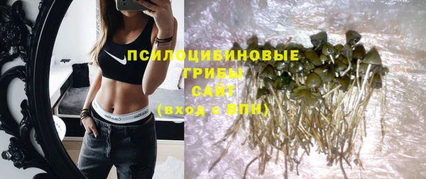 spice Армянск