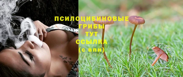 spice Армянск