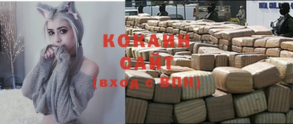 стафф Арсеньев