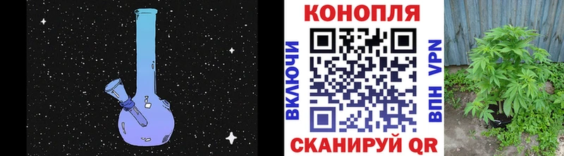 Купить закладки  Сурск  Каннабис сатива 